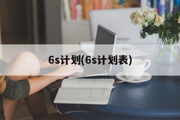 6s计划(6s计划表)